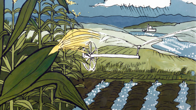A corn field with power plant in distance