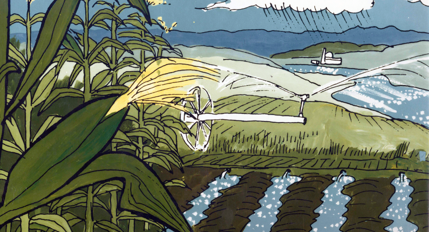 A corn field with power plant in distance