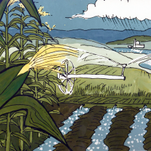 A corn field with power plant in distance