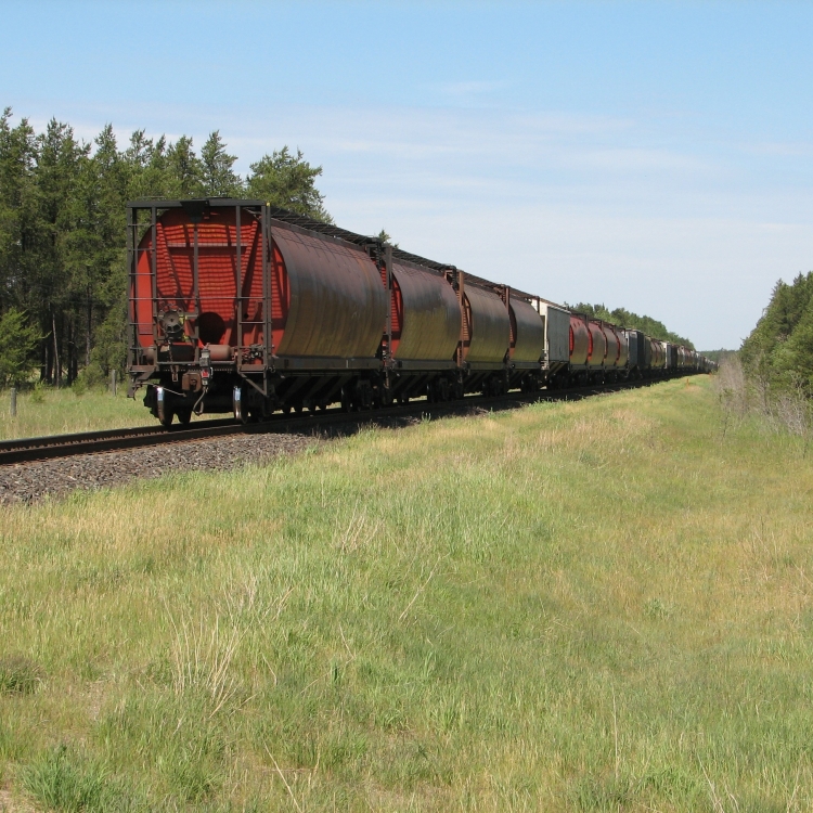 Perspective of freight train on railway in summer (source: pixy.org).